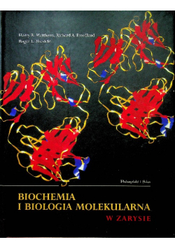 Biochemia i biologia molekularna w zarysie