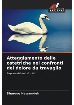 Atteggiamento delle ostetriche nei confronti del dolore da travaglio