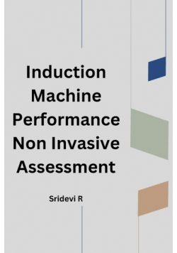 Induction Machine Performance Non Invasive Assessment