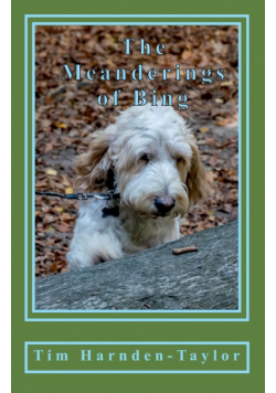 The Meanderings of Bing