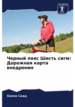 Черный пояс Шесть сигм