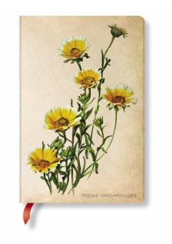 Notatnik Woodland Daisies Mini linia
