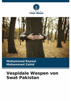 Vespidale Wespen von Swat Pakistan