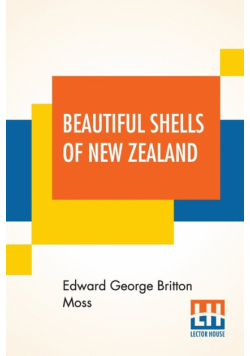 Beautiful Shells Of New Zealand