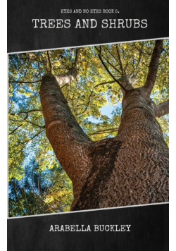 Trees and Shrubs