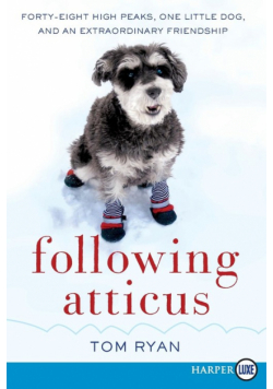 Following Atticus LP