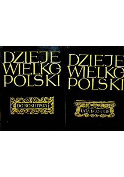 Dzieje wielkopolski Tom 1 i 2