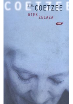 Wiek żelaza