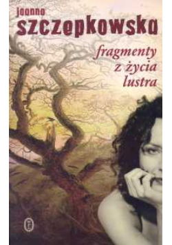 Fragmenty z życia lustra