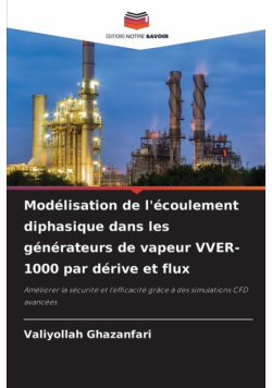 Modélisation de l'écoulement diphasique dans les générateurs de vapeur VVER-1000 par dérive et flux