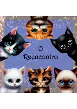 O Reencontro