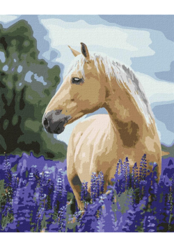 Malowanie po numerach - Spacer 40x50cm