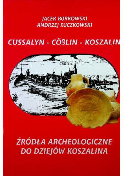 Źródła archeologiczne do dziejów Koszalina