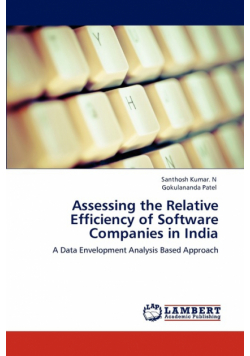 Assessing the Relative Efficiency of Software Companies in India