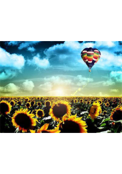 Diamentowa mozaika Balon nad polem słoneczników 60652