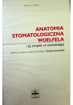 Anatomia stomatologiczna Woelfela i jej związek ze stomatologią