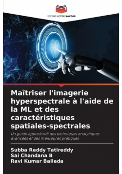 Maîtriser l'imagerie hyperspectrale à l'aide de la ML et des caractéristiques spatiales-spectrales