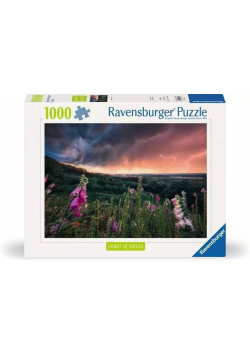 Puzzle 1000 Nadchodzi burza