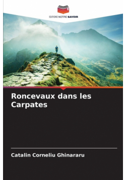 Roncevaux dans les Carpates