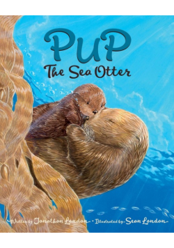 Pup the Sea Otter