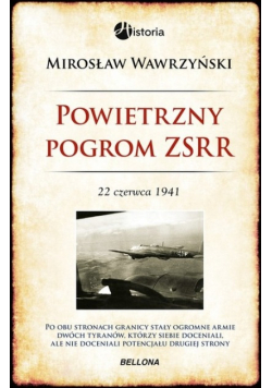 Powietrzny pogrom ZSRR 22 czerwca 1941