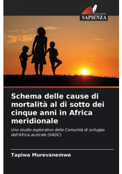 Schema delle cause di mortalità al di sotto dei cinque anni in Africa meridionale