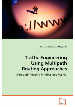 Traffic Engineering Using Multipath Routing Approaches