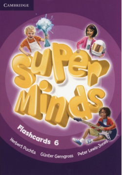 Super Minds Flashcards 6