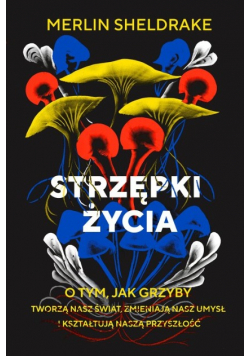 Strzępki życia