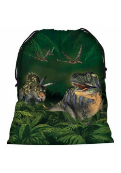 Worek na obuwie Dinozaur 11