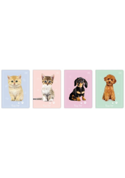 Zeszyt A5/16K kolorowa trzylinia Puppy Sign(20szt)