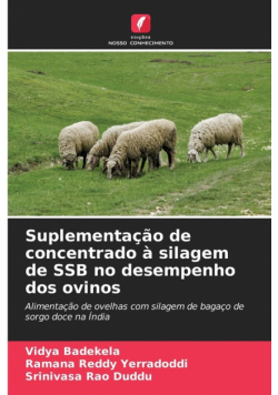 Suplementação de concentrado à silagem de SSB no desempenho dos ovinos