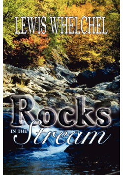 Rocks in the Stream