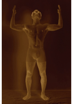 a universe humanised