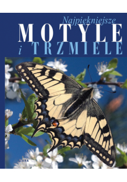 Najpiękniejsze motyle i trzmiele