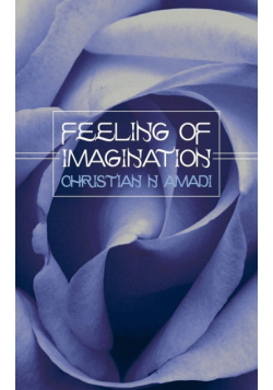 Feeling of Imagination