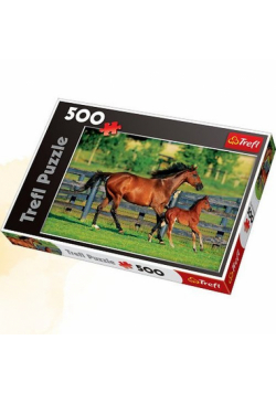 Puzzle 500 Pierwszy spacer źrebaka