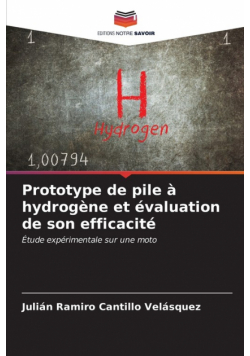 Prototype de pile à hydrogène et évaluation de son efficacité