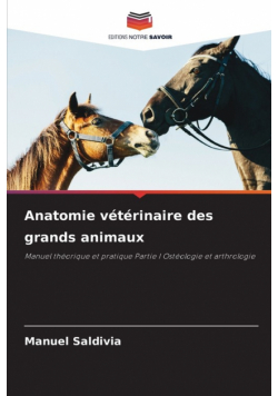Anatomie vétérinaire des grands animaux