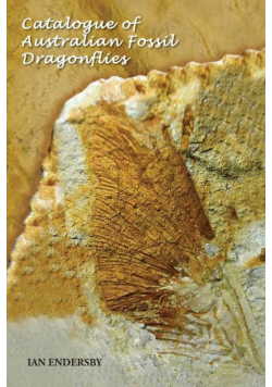 Catalogue of Australian Fossil Dragonflies