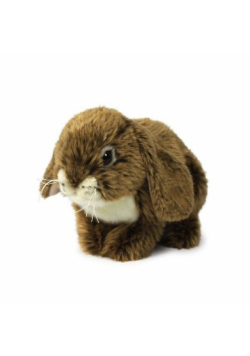 Królik brązowy - 25cm