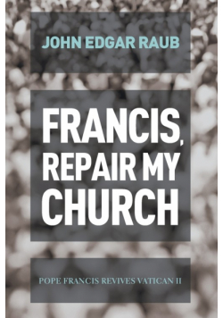 Francis, Repair My Church