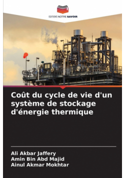 Coût du cycle de vie d'un système de stockage d'énergie thermique