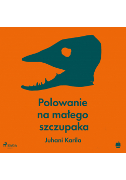 Polowanie na małego szczupaka