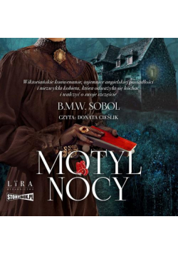 Motyl Nocy