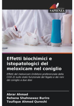Effetti biochimici e istopatologici del meloxicam nel coniglio