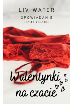 Walentynki na czacie. Opowiadanie erotyczne