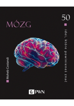 50 idei, które powinieneś znać Mózg