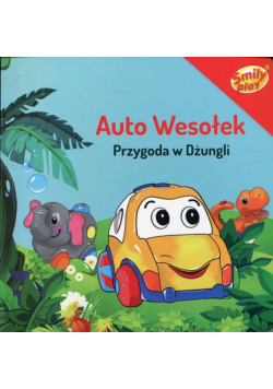 Auto Wesołek