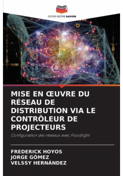 Mise En Œuvre Du Réseau De Distribution Via Le Contrôleur De Projecteurs